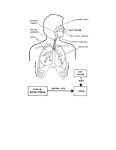 Figure 3-2. Salt water <b>drowning</b>/<b>near drowning</b>.