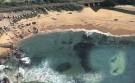 pictures of sardine run