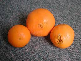 Navel orange