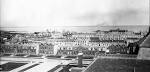 Wide Urban World: The city as a practical machine