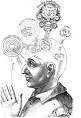 Kloss, see <b>Consciousness</b>!
