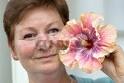 Stichworte: Natur Pflanze Hibiskus Portrait Porträt Ursula Lengdobler ...