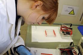 Die Studentin Melanie Thissen bereitet einen DNA-Test vor.Foto: dpa. Villingen-Schwenningen - Vor allem in ländlichen Regionen werden Klinikmediziner immer ...