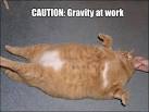 Gravity