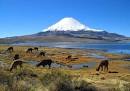 Parinacota Volcano, Chile