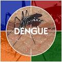 Now A Portable Device To Identify Dengue Virus-Carrying Mosquitoes ...