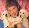 Francine Dancer - hasselhoff_with_puppies