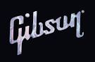 The Fellowship of Acoustics for Fine, Vintage and Rare guitars ...
