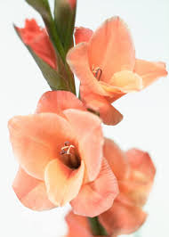 images?q=tbn:ANd9GcSHVUrL_Ln1CA82uptwn-HHM5MVcbpTz08DG2C2q39KmRW1oTsl Marian MALCIU - "Sunt…" (poem)