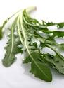 Bitter Herbs of the Bible | The Daughters of Sarah