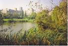 The University of Surrey. - via Daymix