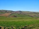 A view of Dean Wood (around the gorge) and Addislade from the Dean Prior to - via Daymix