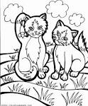 Cat coloring page