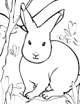 Hare coloring page