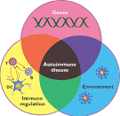 an autoimmune disease,