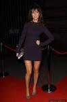 SHEREE MURPHY �� Kickette Fashion