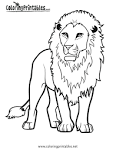 Lion coloring page