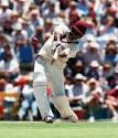a n a n s i w e b w o r k s v e r s i o n t w o : The Brian Lara Page