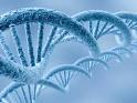 Biology Exams 4 U: Human Genetic Disorder (