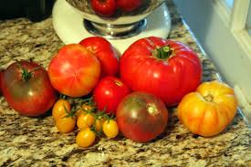 By Julia Westhoff Every year Jay (the family gardener) warns me to be prepared for an overabundance of tomatoes. And every year we get about 10 tomatoes. - Tomatoes