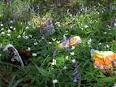 Litter in the Cotswolds photo