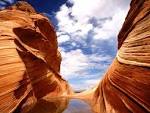 Desktop backgrounds Animal Life Nature Hidden Pool