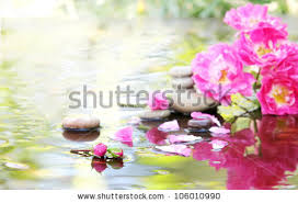 Stones Of Spa And Flowers Of A Rose Lie In Water The Waters ... - stock-photo-stones-of-spa-and-flowers-of-a-rose-lie-in-water-the-waters-covered-with-drops-106010990