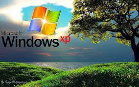 windows xp Home sp2.32bit Images?q=tbn:ANd9GcSIk95Dg2uofAinTEIa4Rd-tpOvPgiATwXOErgk5cKgomwLHmP8