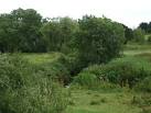 TQ1421 : The River Adur as a stream at Shipley - via Daymix