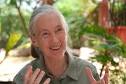 Jane's Journey Jane Goodall