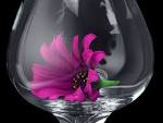 http://www.public-domain-image.com/art/slides/daisy-glass-art.jpg