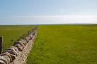 NU1341 : Boundary Stone Field Wall on Bible Law Holy Island - via Daymix