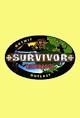 Survivor Poster