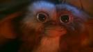 Review: Gremlins: Special Edition/Gremlins 2: The New Batch (US ...