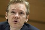 the WikiLeaks website