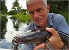 Snakehead Fish, Snakehead Fish