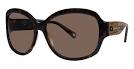 http://www.go-optic.com/SUNGLASSES/images/coach_joelle_tortoise.jpg