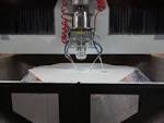 Displacement activity « Life and Physics