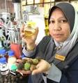 Wan Asma showing some jatropha