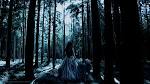 Forrest Wolf Fairy wallpaper from Fairy wallpapers