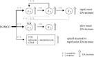 ScienceDirect.com - Neuroscience - Interactions among mu- and ...
