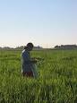 Agronomy - Wikipedia, the free encyclopedia