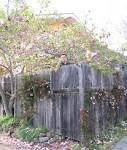 The Donnelley House and Household - 2/