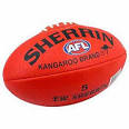 http://www.lmsc.com.au/upload/gallery/AFL-1612AFL211212Ball-1251120764.jpg