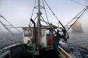 Commercial fishermen propose no-fishing zone near Port Orford ...