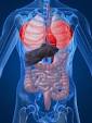 Endocrine Disruptors
