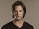 Jared Padalecki, 6520920 points