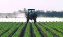 Herbicides « Wake-up Call