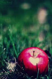 http://t2.gstatic.com/images?q=tbn:ANd9GcSLCpvGHx6oyIasFWScetDbMl3-US5Ra79HoLfvktnStW3rDkDaR_gu_BL1