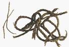 Dead Sea Scrolls -- Basketry